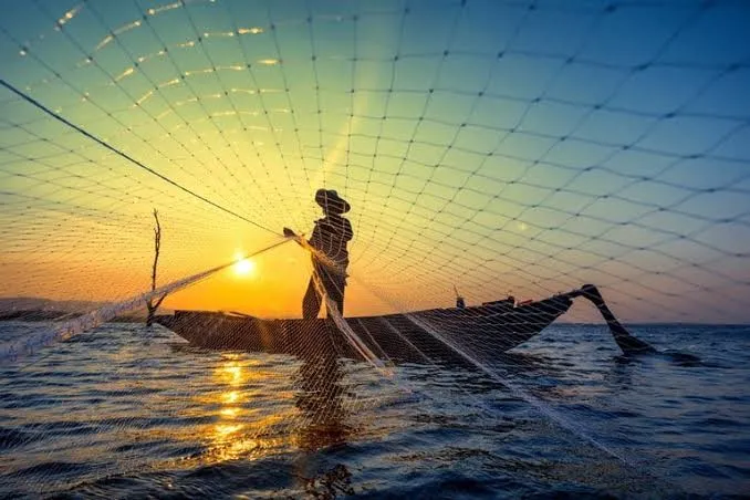 Nova regra do Seguro-Defeso traz mais facilidade para pescadores artesanais